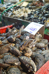 Santiago, Chile - 26 Nov, 2023: Fresh Fish and Seafood on sale at Santiago Central Market