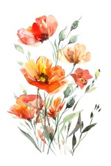 Vibrant Watercolor Floral Arrangement with Poppies and Foliage
