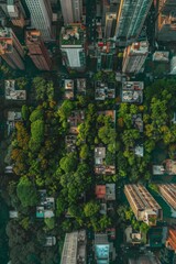 aerial view of green big city with skyscrapers. Environment in cities. Urban view from above.