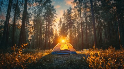 A small tent is set up in a forest with a bright sun shining through the trees