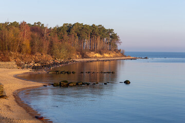 a small bay on the shore of the Baltic Sea at dawn, pine trees on the shore