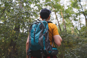 Back view of a man tourist walking in the middle of the early autumn forest with big travel backpack