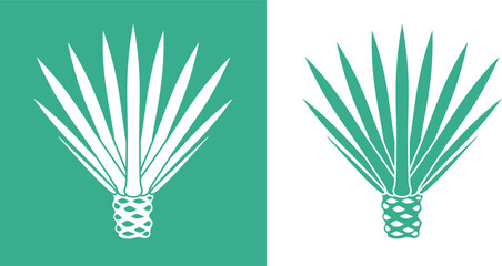 Naklejka premium Agave logo. Isolated agave on white background