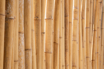 Close-up of a natural bamboo wall or fence background, side view. Abstract high resolution full...