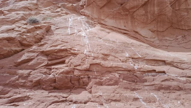 Panning up sandstone wall viewing bird poop from next in the cliff in the Utah desert.
