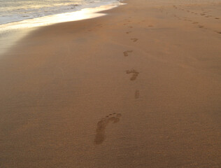 
footprints on the beach
