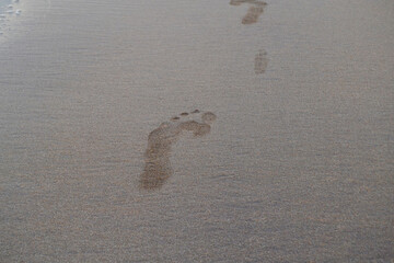 
footprints on the beach
