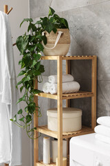 Shelving unit with rolled towels, houseplant, box and bottles indoors