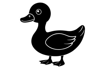 duck isolated on white background