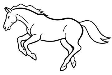 Obraz premium white horse with a mane