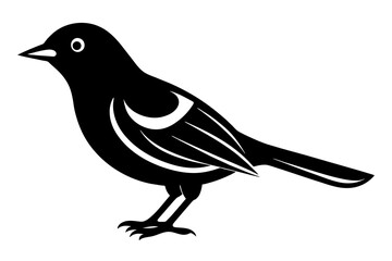 illustration of a bird
