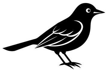bird on a branch