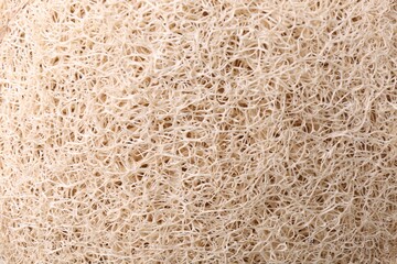 Loofah sponge as background, top view. Personal hygiene product