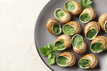 Delicious cooked snails with parsley on light table, top view. Space for text