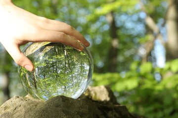 Beautiful green trees outdoors, overturned reflection. Man with crystal ball in forest, closeup