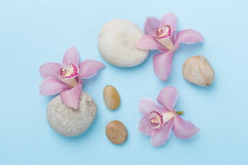 Composition with orchids and massage stones on color background, top view
