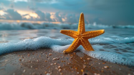 Starfish on Beach With Foamy Water