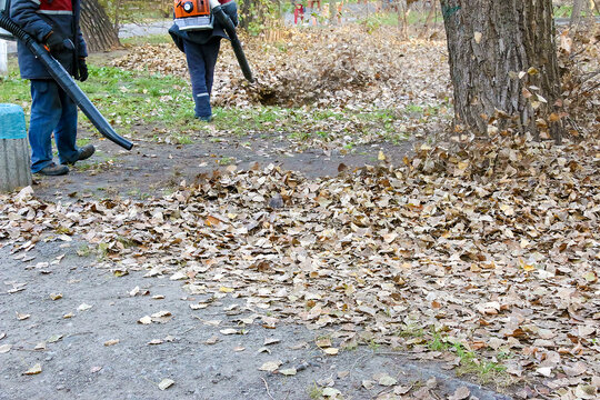 Workers at a utility company use a leaf blower to clear fallen leaves from a park alley.
