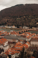 Historic Heidelberg: Medieval Architecture and Neckar River Views