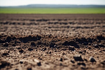 Clean soil for growing before sowing, agricultural farm. Image of deep black chernozem soil in a field.