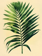 A vintage botanical illustration of one palm leaf in soft green tones on a cream background in the style of a watercolor The illustration is detailed and realistic with a vintage f