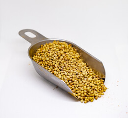 Pile of Organic Dried coriander seeds (Coriandrum sativum) isolated on white background