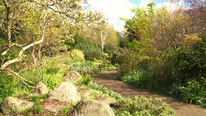London, UK, 24 March 2024: London parks flowers in spring
