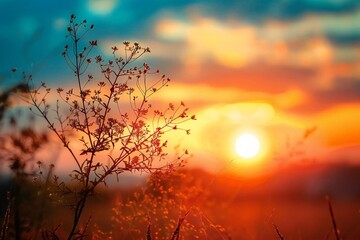 Capturing the Beauty Within: A Sunset's Reflection