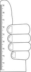 Ruler in the shape of a thumb with Imperial measurements - obrazy, fototapety, plakaty