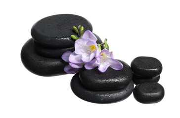 Beautiful violet freesia flowers and stones isolated on white
