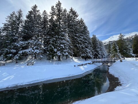A typical winter idyll on the frozen and snow-covered alpine lake Heidsee (Igl Lai) in the Swiss winter resorts of Valbella and Lenzerheide - Canton of Grisons, Switzerland (Schweiz)