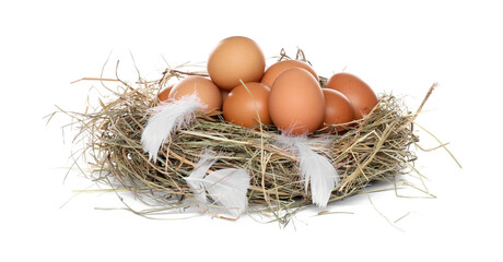 Fresh chicken eggs in nest isolated on white