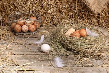 Fresh chicken eggs and dried straw bale in henhouse © New Africa