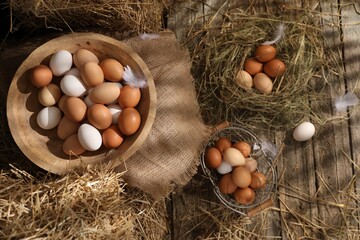 Fresh chicken eggs and dried straw in henhouse, flat lay