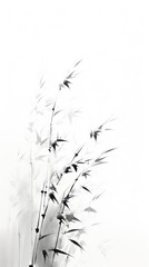 Fototapeta premium White plant monochrome fragility.