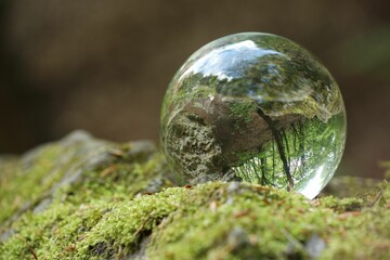 Beautiful forest with green trees, overturned reflection. Crystal ball on stone surface with moss...
