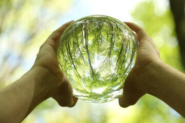 Green trees outdoors, overturned reflection. Man holding crystal ball in forest, closeup