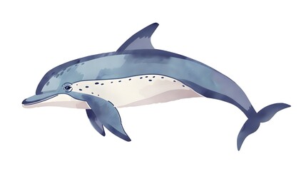 Dolphin Drawing on White Background with Childish Style