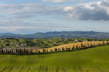 early morning with beautiful sunrise over the Val d'Orcia, countryside in Tuscany.