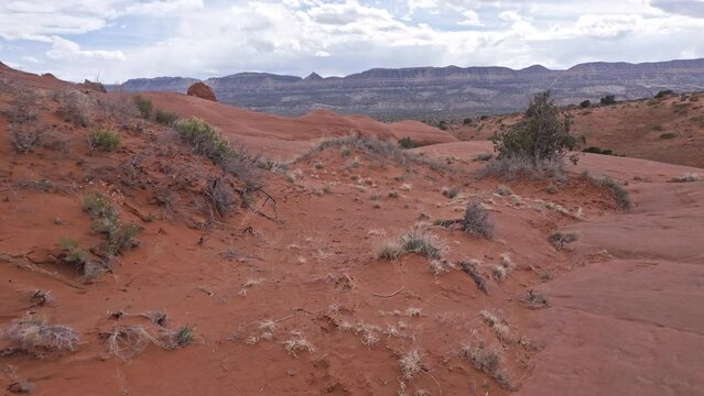 Walking through the terrain of the Escalante desert in Utah.