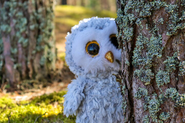 A toy owl hides in the forest as a symbol of the endangered species' failure to hide