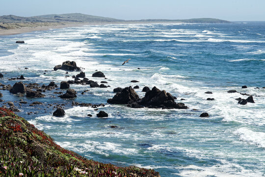 Near Miwok Beach, Bodega Bay, California, USA