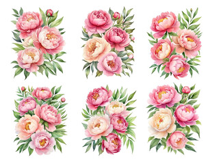 set of 6 bouquet of colorful peonies, watercolor, clipart, white background, isolated