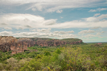 Fototapeta na wymiar Serra da Capivara - Piauú