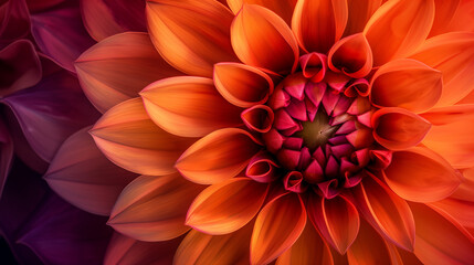 Close-Up of the Intricate Center of an Orange and Red Dahlia. Beautiful nature. Beautiful Abstract Background.