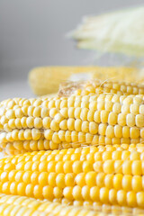 close-up view of peeled cob of corn on a table, close-up view of whole corn on a countertop, fresh organic sweet corn on table