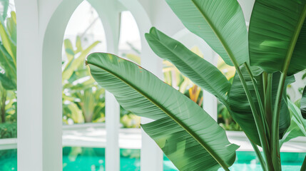 Close-up image of banana tree leaves on the background of a modern villa