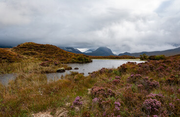 beautiful landscape in scotland, full of greenery, ideal place for vacation. River Etive in Glen...