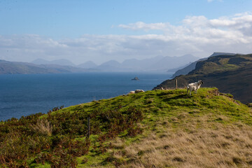Scottish Coastline. Isle of Skye Scotland UK. Waterfalls, Cliffs and beaches. Scottish coast at Skye