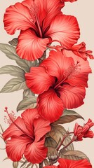 Wallpaper red hibiscus flowers plant inflorescence gladiolus.